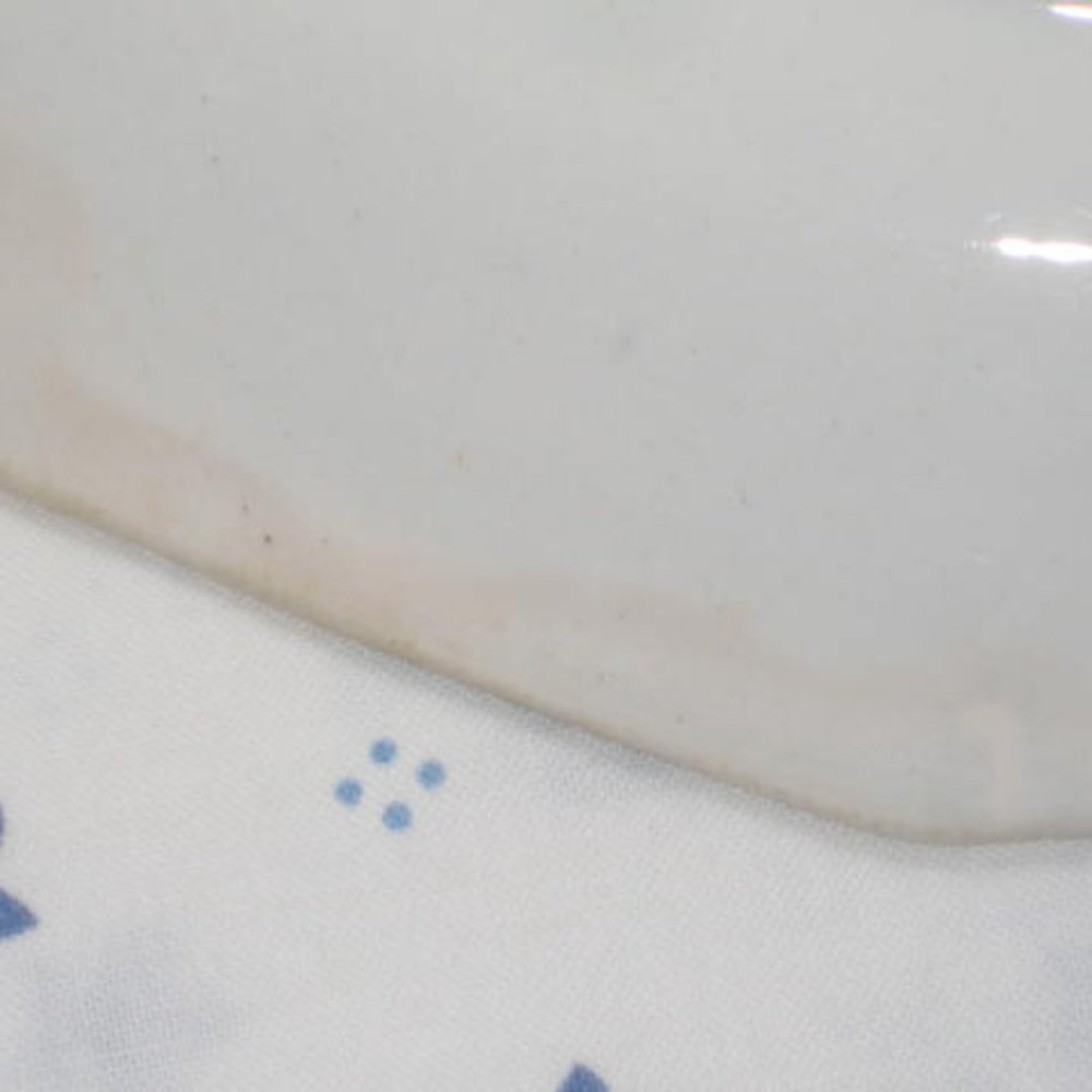 Antique Staffordshire Garden Scenery Blue Transferware Bowl Mayer Ca 1843-55 - Picture 6 of 6